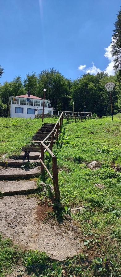 Cabana Cerbu Bozovici エクステリア 写真